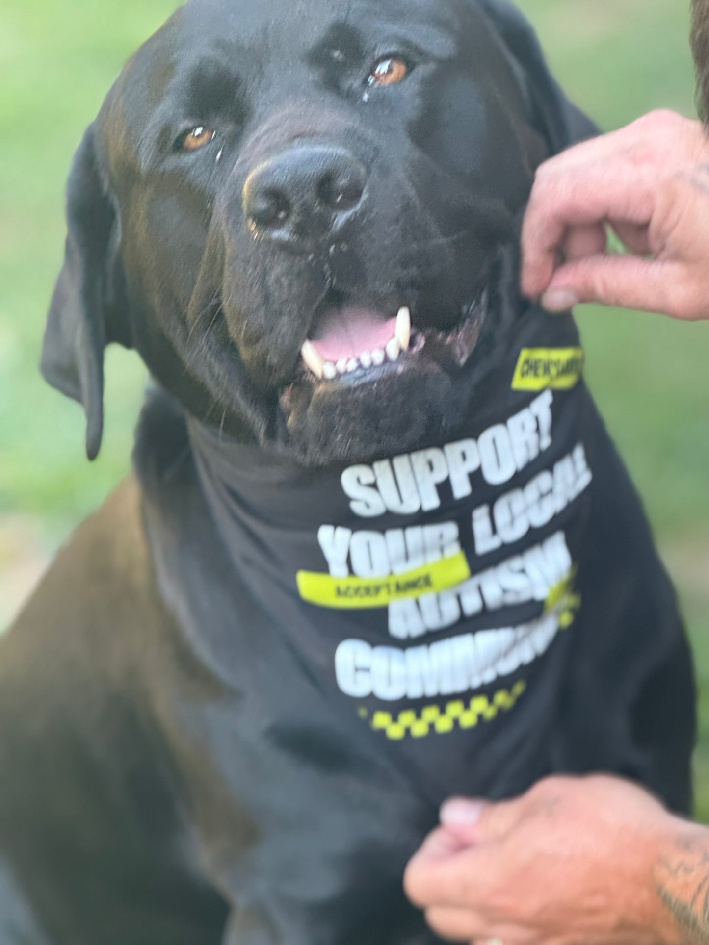 Dog Bandana – Support Your Local Autism Community | Autism Awareness Pet Accessory