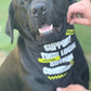 Dog Bandana – Support Your Local Autism Community | Autism Awareness Pet Accessory