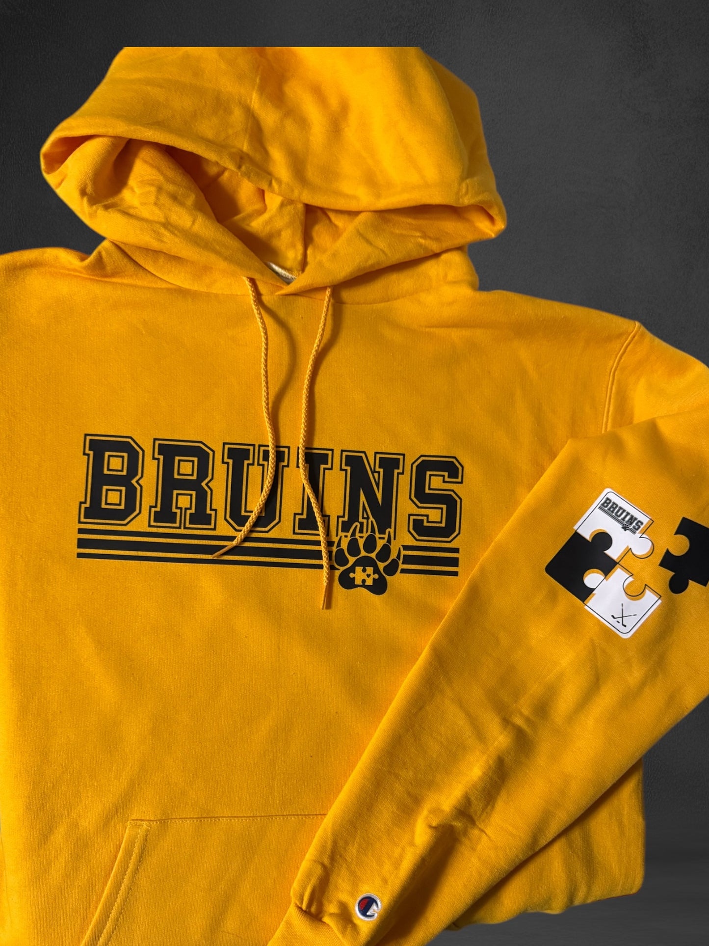 Autism Awareness  Bruins Hoodie